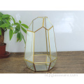 Huis Tuin Geometrische Glazen Terrarium Decoratie